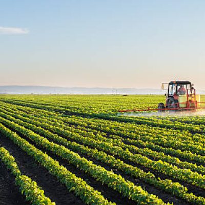 Tractor spraying soybean field at spring